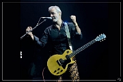 NIK_87612-crH Triggerfinger 21-11-2018 (Zz) (p)